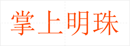 掌上明珠