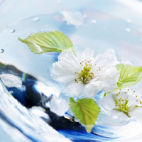 郭森