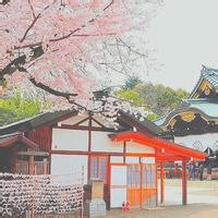 孟旭