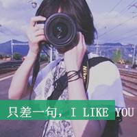 段树民