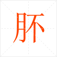 肧字