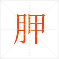 胛字