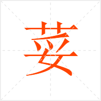 荽字