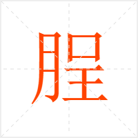 脭字
