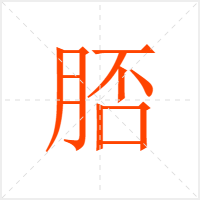 Ø